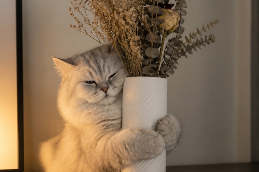 Кот с вазой в интерьере