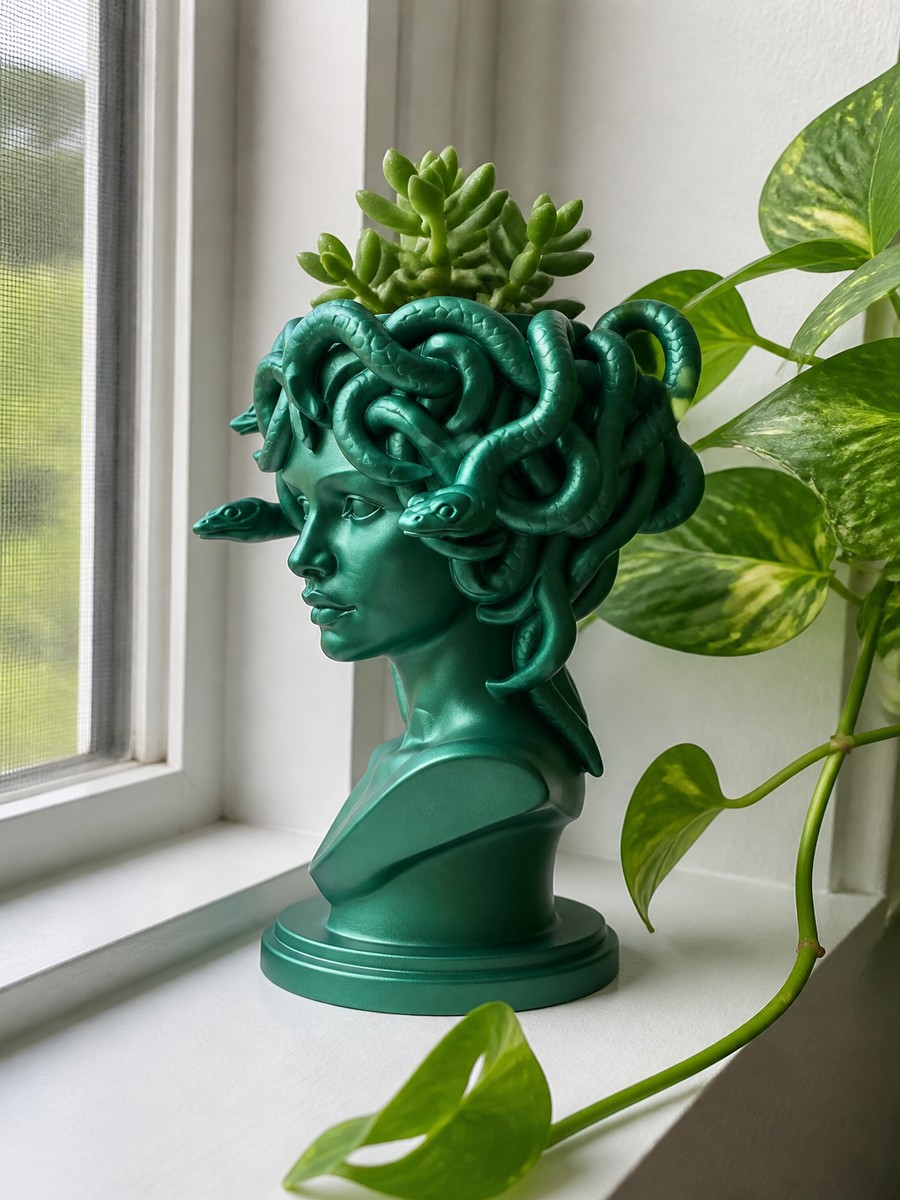 Медуза фото 3